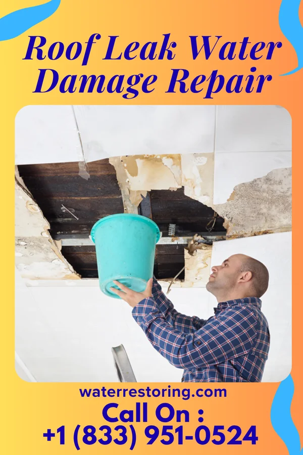 Roof Leak Water Damage Repair in Talpa, NM