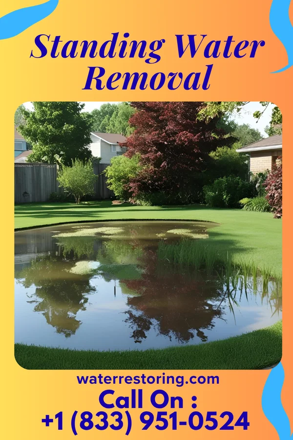 Standing Water Removal in Talpa, NM